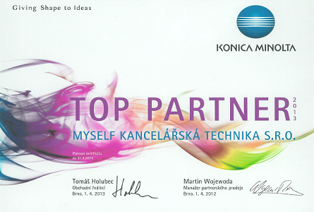 Top Partner 2013